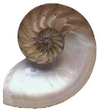 Spiral